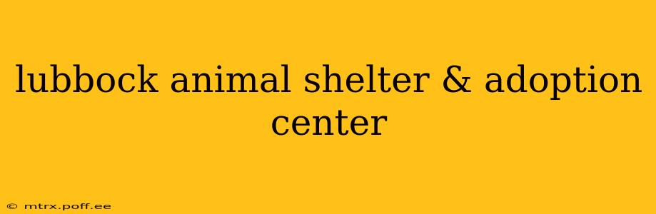 lubbock animal shelter & adoption center