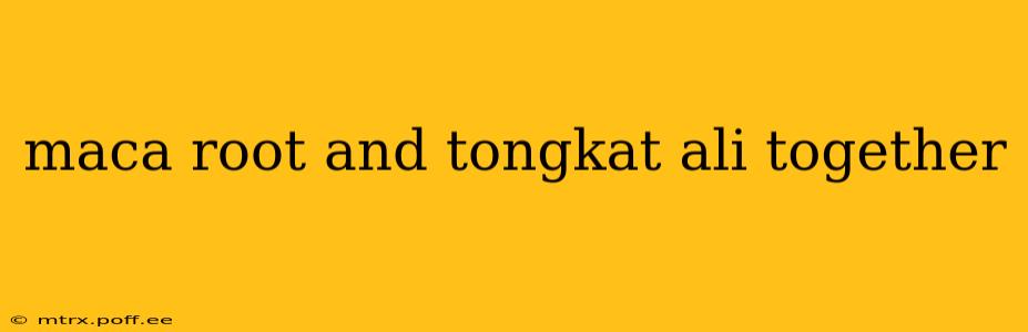 maca root and tongkat ali together