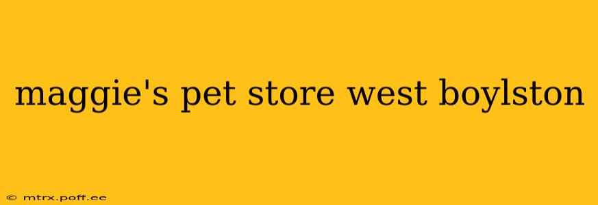 maggie's pet store west boylston
