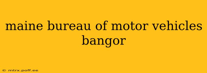 maine bureau of motor vehicles bangor