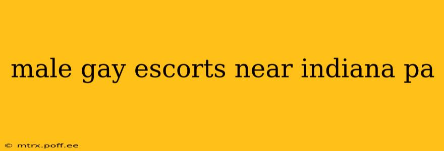 male gay escorts near indiana pa