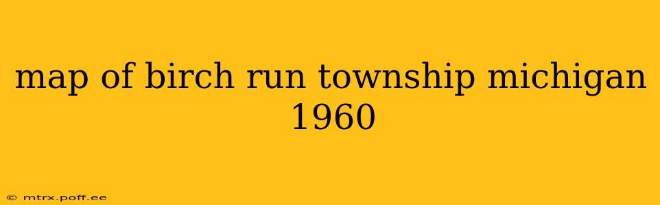 map of birch run township michigan 1960