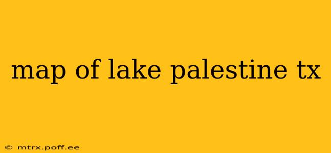 map of lake palestine tx