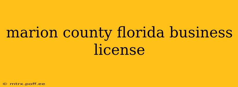 marion county florida business license