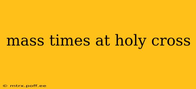 mass times at holy cross