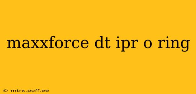 maxxforce dt ipr o ring