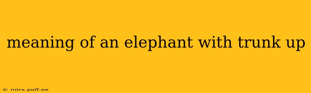 meaning of an elephant with trunk up