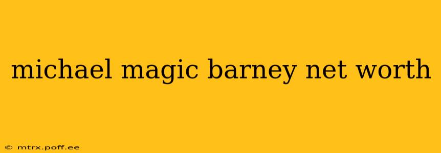 michael magic barney net worth