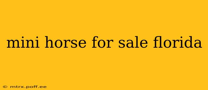 mini horse for sale florida