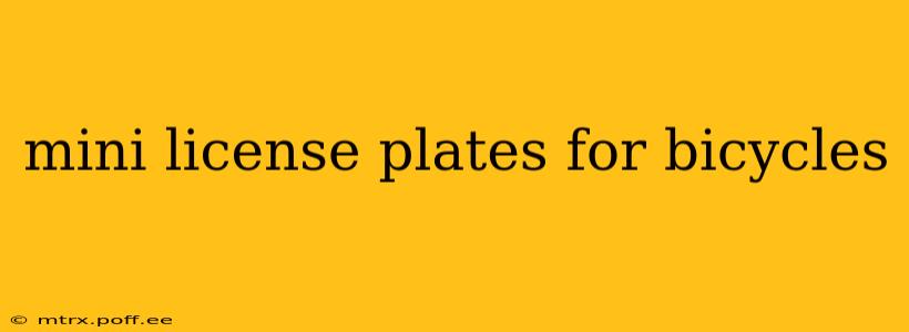 mini license plates for bicycles