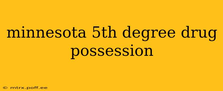 minnesota 5th degree drug possession