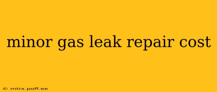 minor gas leak repair cost
