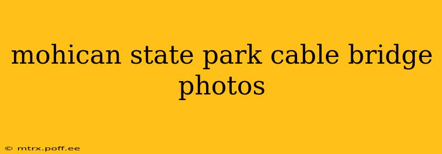 mohican state park cable bridge photos