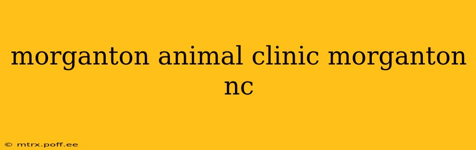 morganton animal clinic morganton nc