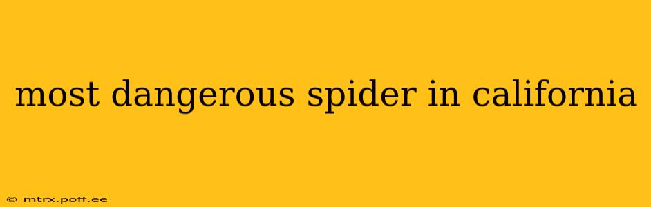 most dangerous spider in california