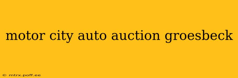 motor city auto auction groesbeck