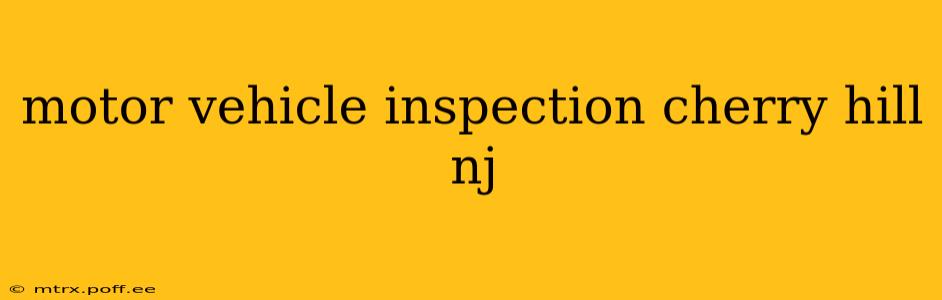 motor vehicle inspection cherry hill nj
