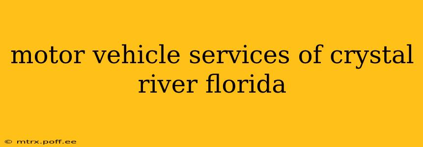 motor vehicle services of crystal river florida