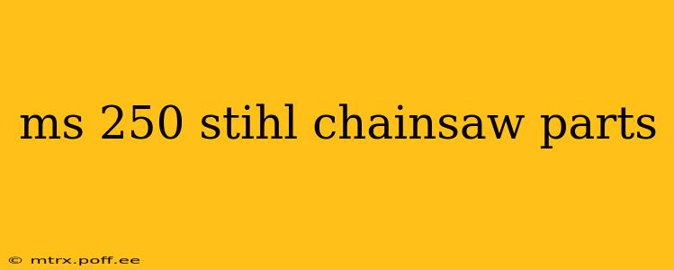 ms 250 stihl chainsaw parts