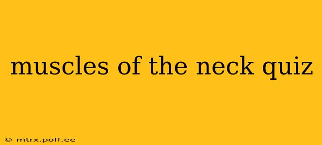 muscles of the neck quiz