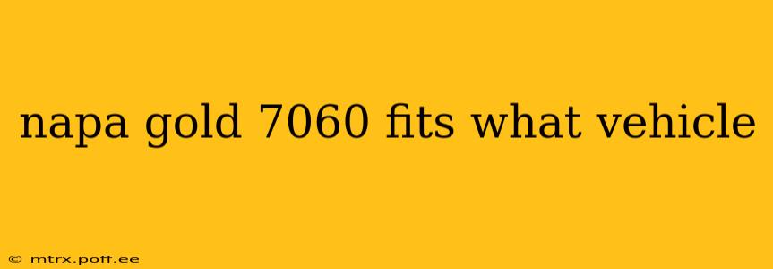 napa gold 7060 fits what vehicle