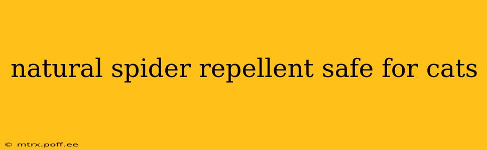 natural spider repellent safe for cats