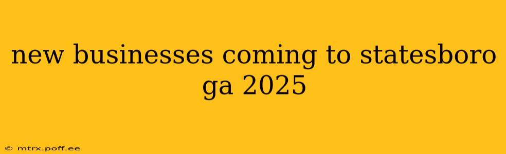 new businesses coming to statesboro ga 2025