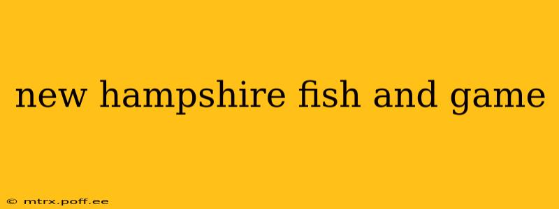 new hampshire fish and game