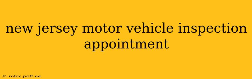 new jersey motor vehicle inspection appointment