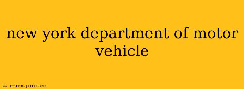 new york department of motor vehicle