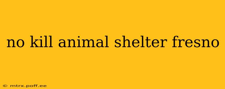 no kill animal shelter fresno