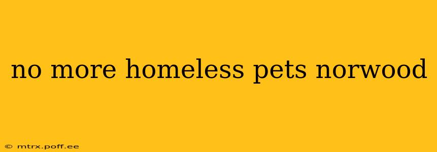 no more homeless pets norwood