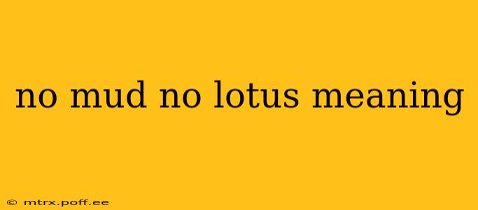no mud no lotus meaning