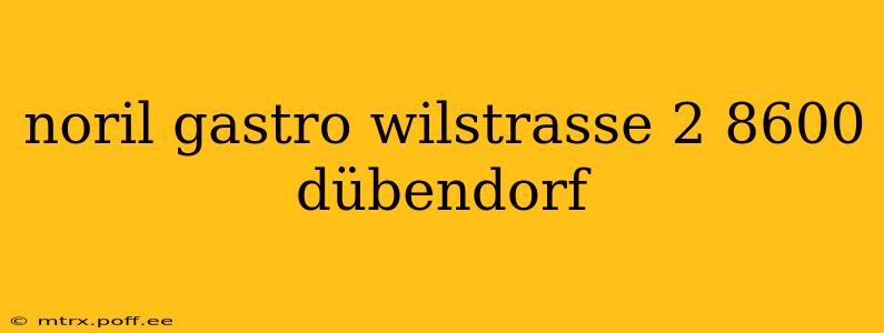 noril gastro wilstrasse 2 8600 dübendorf