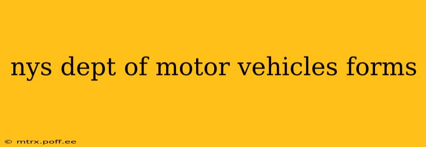 nys dept of motor vehicles forms