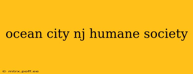 ocean city nj humane society