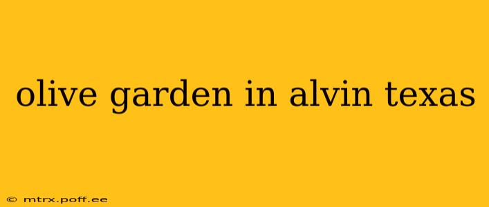 olive garden in alvin texas