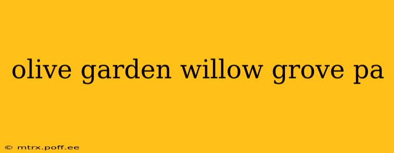 olive garden willow grove pa