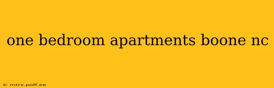 one bedroom apartments boone nc
