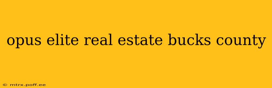opus elite real estate bucks county