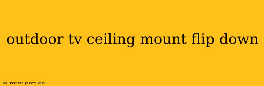 outdoor tv ceiling mount flip down