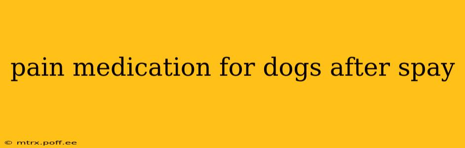 pain medication for dogs after spay