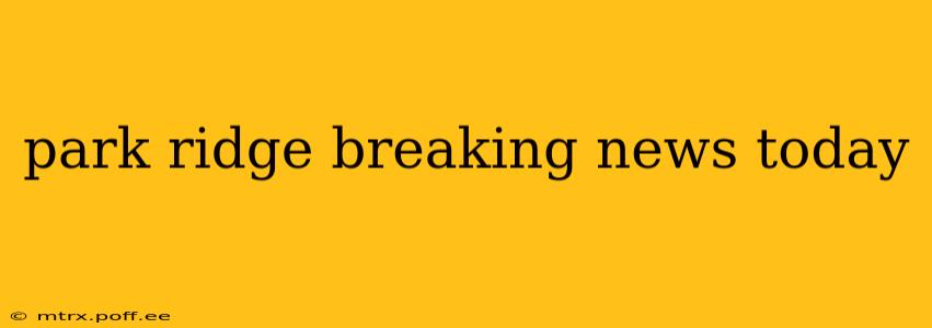 park ridge breaking news today