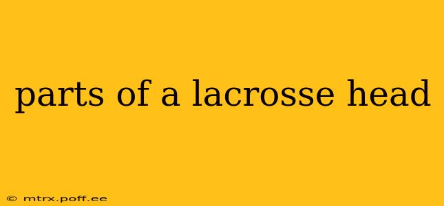 parts of a lacrosse head