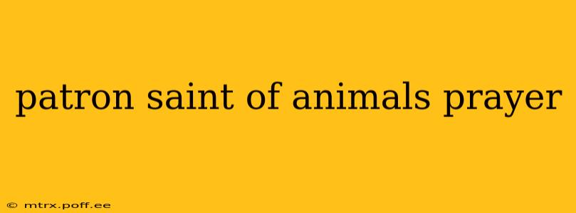 patron saint of animals prayer