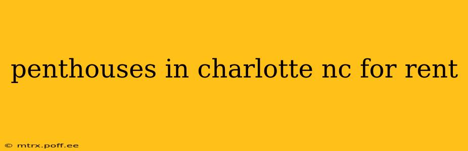 penthouses in charlotte nc for rent