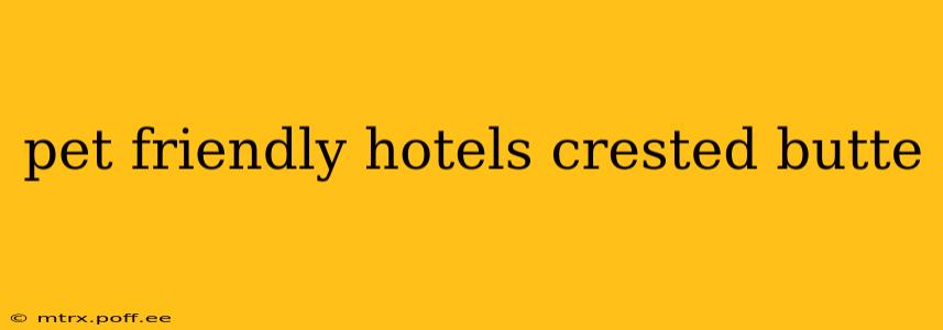pet friendly hotels crested butte