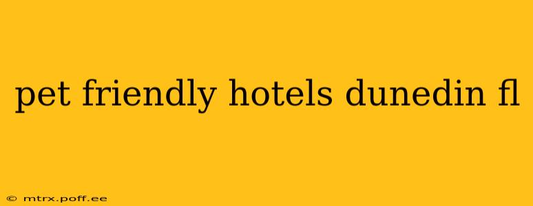 pet friendly hotels dunedin fl