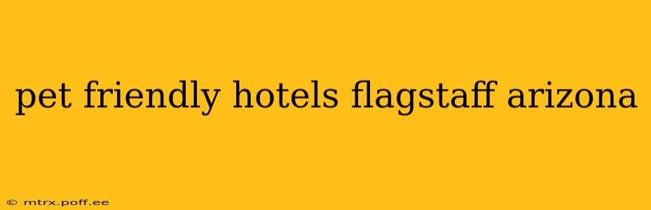 pet friendly hotels flagstaff arizona