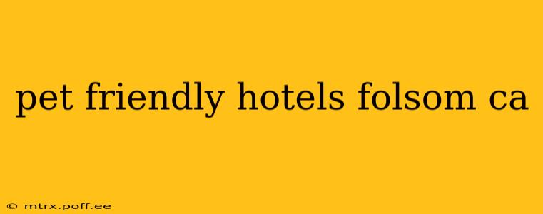 pet friendly hotels folsom ca